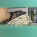 Bolsonaro estado de saúde